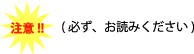 ���ӁI�I